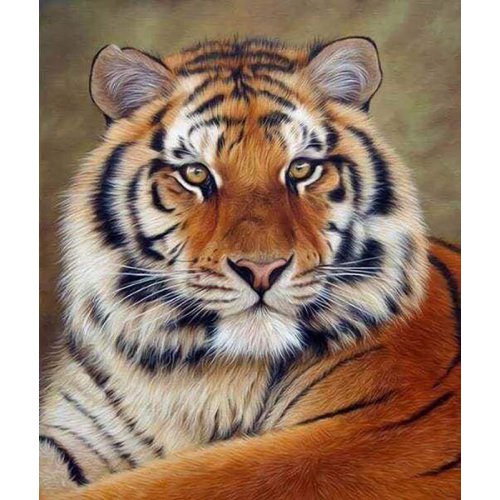 Diamantové malování - TYGŘÍ OKO bez rámu 40 x 50 cm