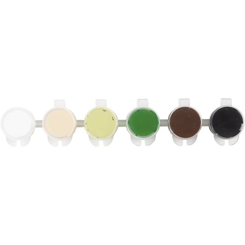 Sada Akrylová barva  Plus Color 6x5 ml PŘÍRODNÍ ODSTÍNY - obrázek