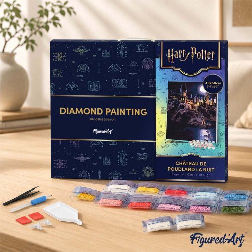 Diamantové malování - HARRY POTTER - BRADAVICKÝ HRAD 40 x 50 cm na rámu - DP-WB00003-Y_2.jpg