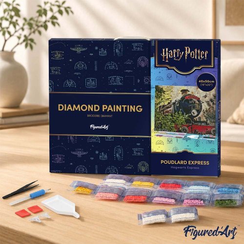 Diamantové malování - HARRY POTTER - BRADAVICKÝ EXPRES 40 x 50 cm na rámu - DP-WB00020-Y_2.jpg