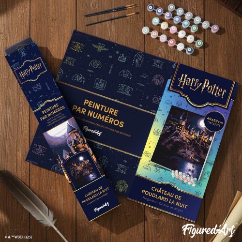 Malování podle čísel - HARRY POTTER - BRADAVICKÝ HRAD V NOCI 40 x 50 cm bez rámu - WB00003_2.jpg