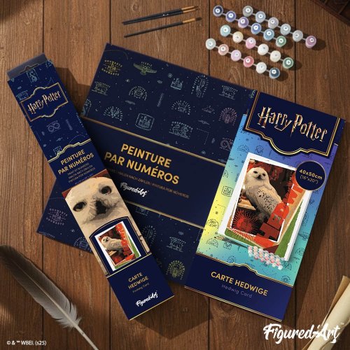 Malování podle čísel - HARRY POTTER - SOVA HEDVIKA 40 x 50 cm bez rámu - WB00021_2.jpg