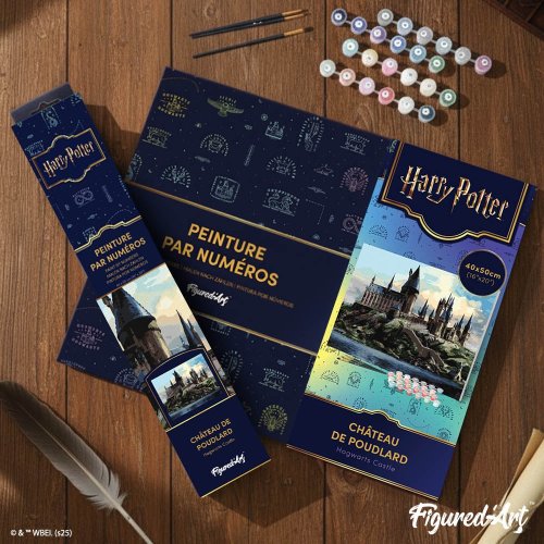Malování podle čísel - HARRY POTTER - BRADAVICKÝ HRAD 40 x 50 cm na rámu - WB00025-Y_2.jpg