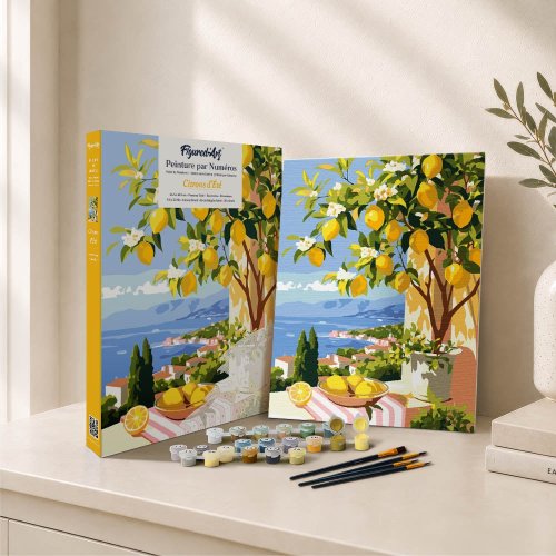 Malování podle čísel - CITRONÍK NA OKNĚ 24.5 x 32.5 cm - GFA009_8.jpg